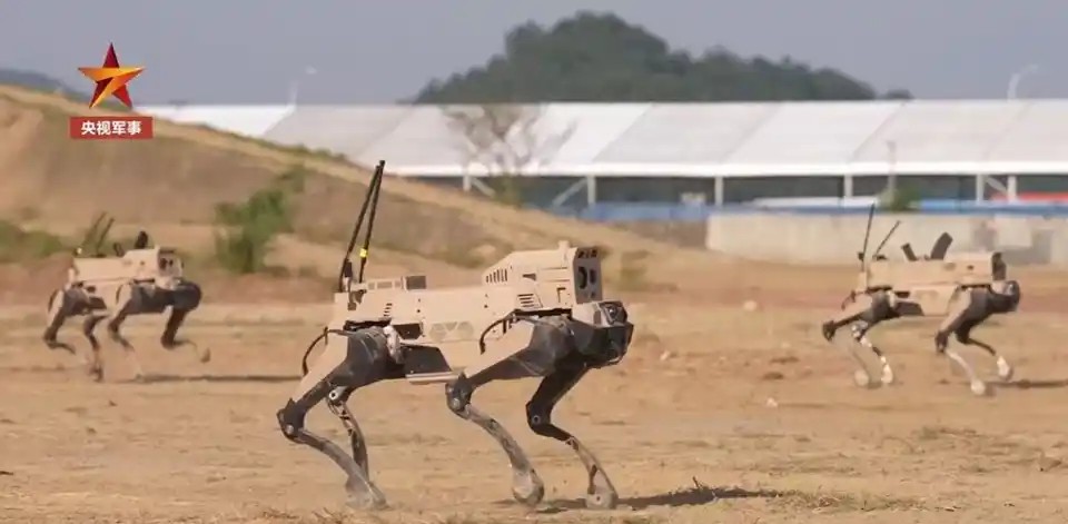 Robot Wolf Chinese UGV (A)